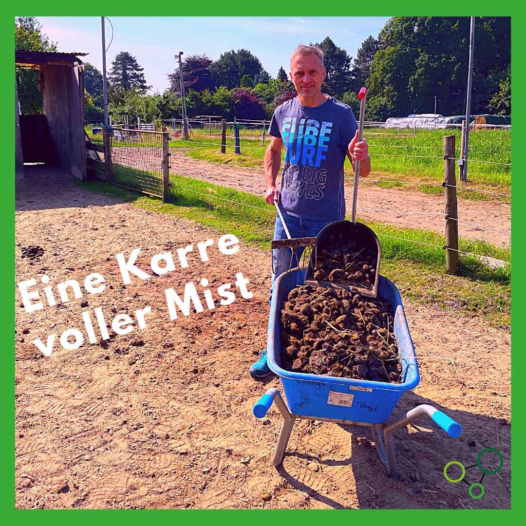 Work & Family Coach: Blogbeitrag - Eine Karre voller Mist