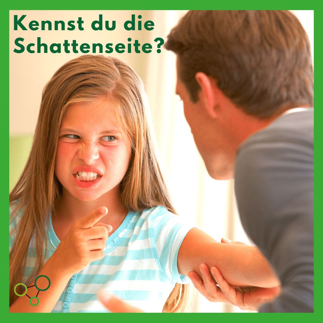Kennst du die Schattenseite?