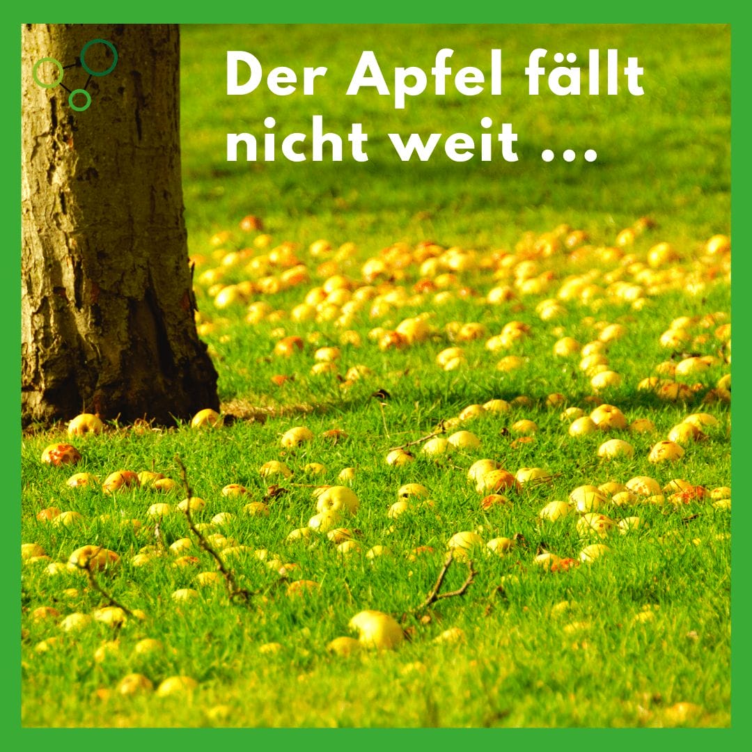 Der Apfel fällt nicht weit...