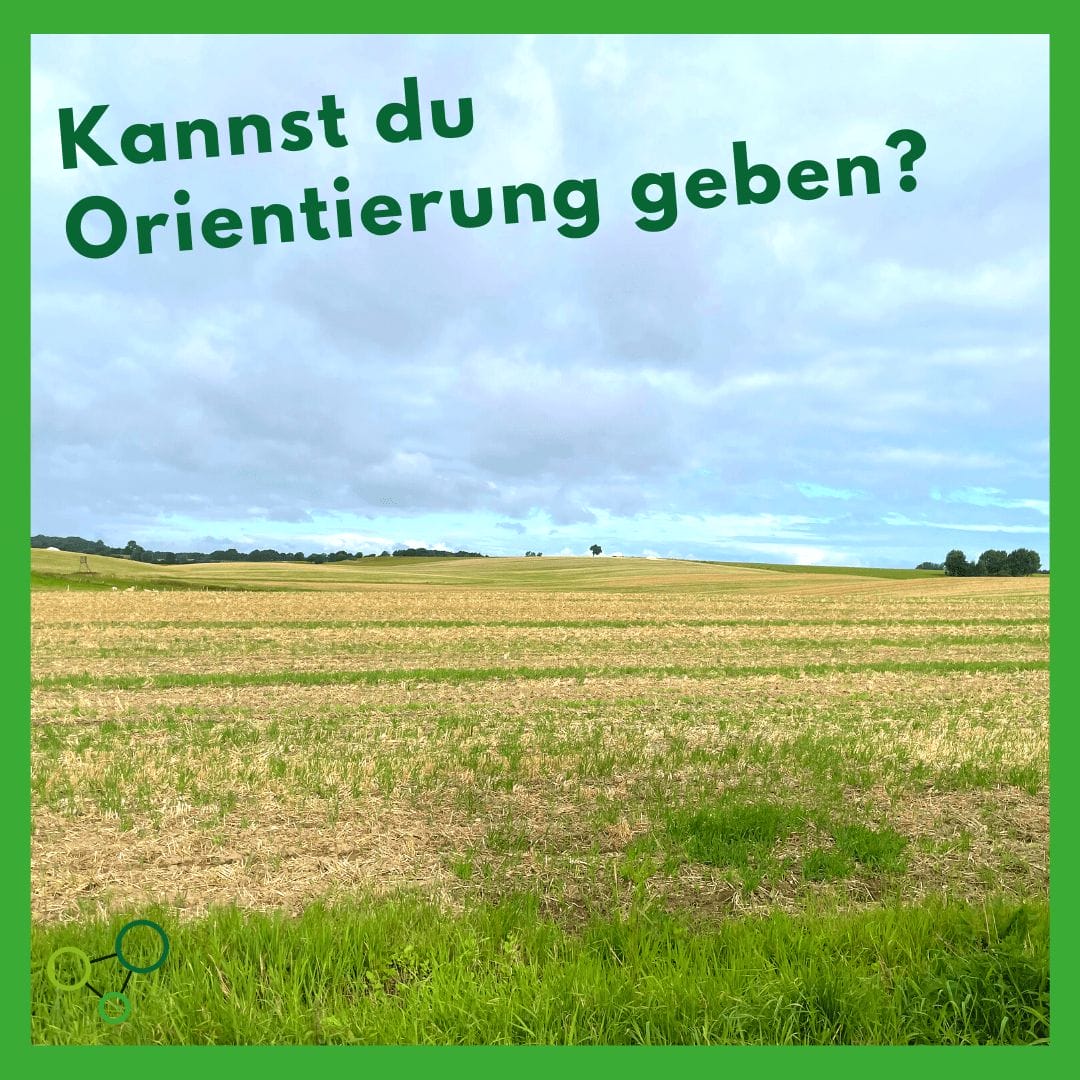 Kannst du Orientierung geben?